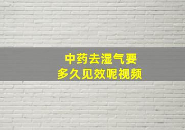 中药去湿气要多久见效呢视频