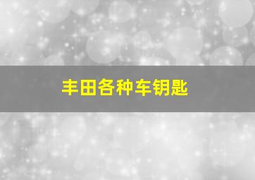 丰田各种车钥匙