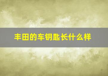 丰田的车钥匙长什么样