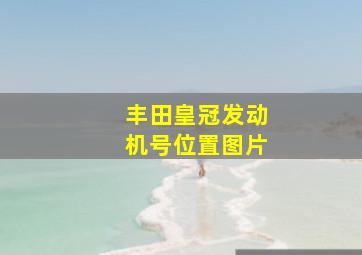 丰田皇冠发动机号位置图片