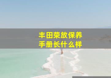 丰田荣放保养手册长什么样