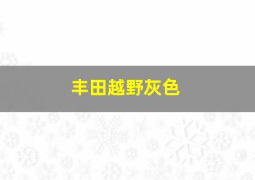 丰田越野灰色