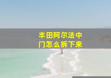 丰田阿尔法中门怎么拆下来