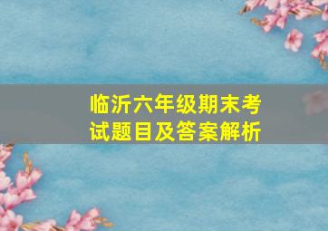 临沂六年级期末考试题目及答案解析