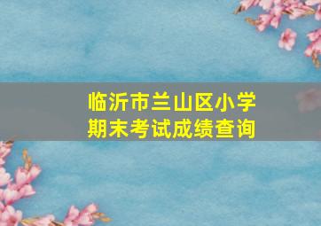 临沂市兰山区小学期末考试成绩查询