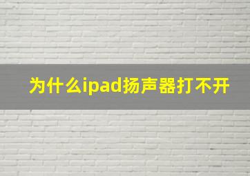 为什么ipad扬声器打不开