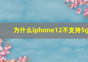 为什么iphone12不支持5g