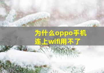 为什么oppo手机连上wifi用不了