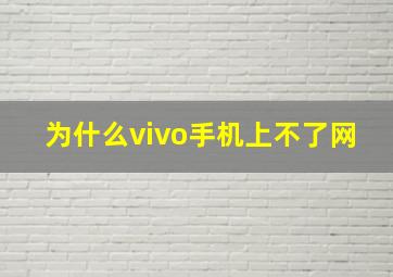 为什么vivo手机上不了网