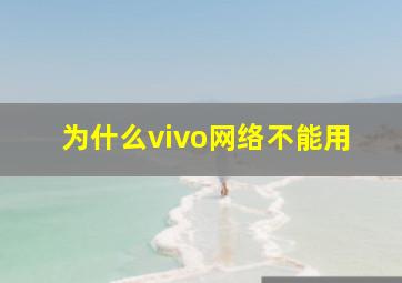 为什么vivo网络不能用