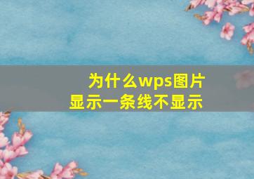 为什么wps图片显示一条线不显示