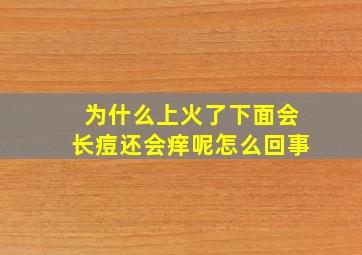 为什么上火了下面会长痘还会痒呢怎么回事