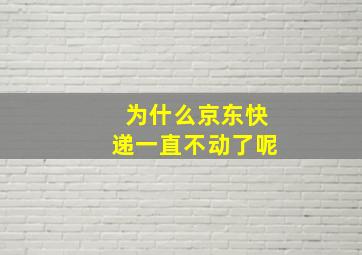 为什么京东快递一直不动了呢