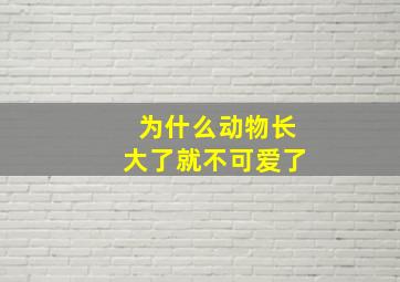 为什么动物长大了就不可爱了