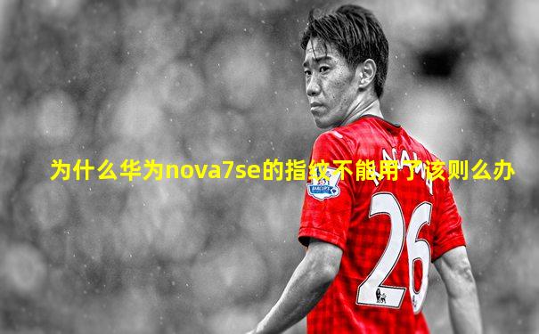 为什么华为nova7se的指纹不能用了该则么办