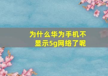 为什么华为手机不显示5g网络了呢