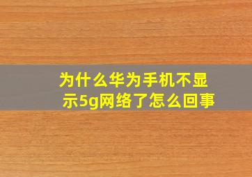 为什么华为手机不显示5g网络了怎么回事