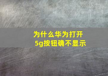 为什么华为打开5g按钮确不显示