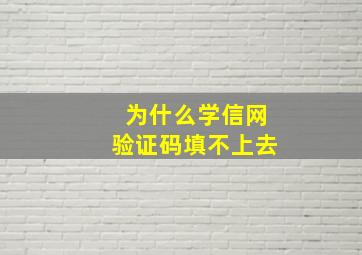 为什么学信网验证码填不上去