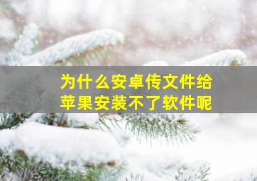 为什么安卓传文件给苹果安装不了软件呢