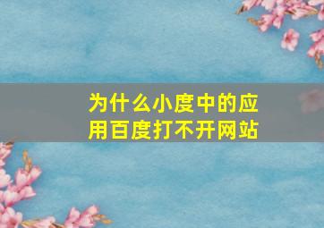 为什么小度中的应用百度打不开网站