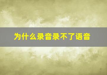 为什么录音录不了语音