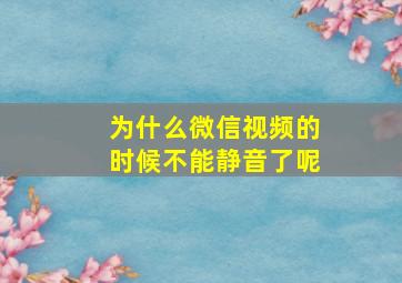 为什么微信视频的时候不能静音了呢