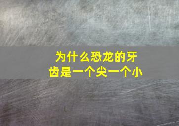 为什么恐龙的牙齿是一个尖一个小