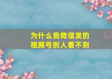 为什么我微信发的视频号别人看不到