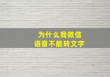 为什么我微信语音不能转文字