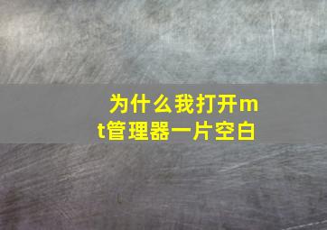 为什么我打开mt管理器一片空白