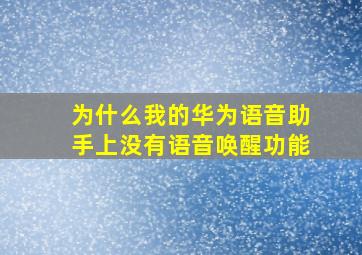 为什么我的华为语音助手上没有语音唤醒功能