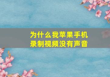 为什么我苹果手机录制视频没有声音