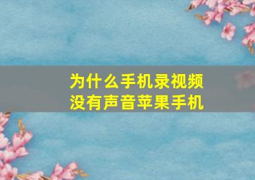 为什么手机录视频没有声音苹果手机