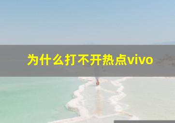 为什么打不开热点vivo