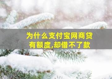 为什么支付宝网商贷有额度,却借不了款