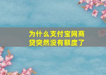 为什么支付宝网商贷突然没有额度了