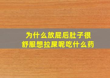 为什么放屁后肚子很舒服想拉屎呢吃什么药