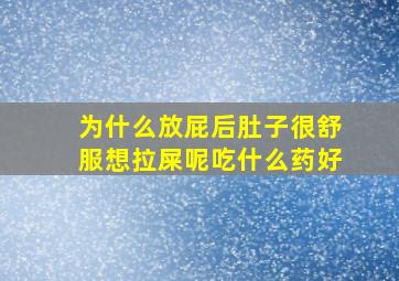 为什么放屁后肚子很舒服想拉屎呢吃什么药好