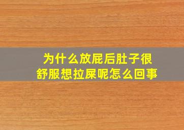 为什么放屁后肚子很舒服想拉屎呢怎么回事