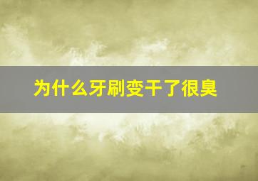 为什么牙刷变干了很臭