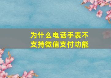 为什么电话手表不支持微信支付功能