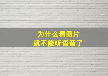 为什么看图片就不能听语音了