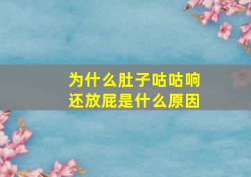 为什么肚子咕咕响还放屁是什么原因