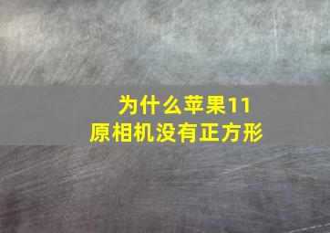 为什么苹果11原相机没有正方形