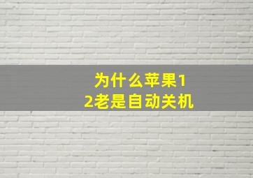 为什么苹果12老是自动关机