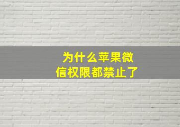 为什么苹果微信权限都禁止了