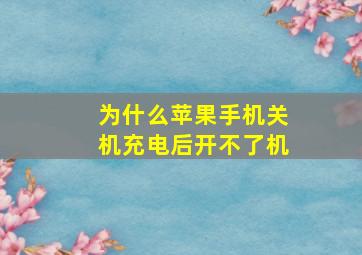 为什么苹果手机关机充电后开不了机