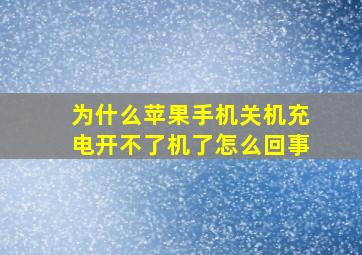 为什么苹果手机关机充电开不了机了怎么回事