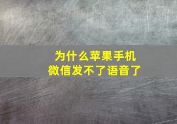 为什么苹果手机微信发不了语音了